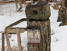 写真3：牧寺 信一さん