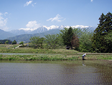 写真2：冨岡 康夫さん