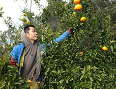 写真3：西井 清人さん