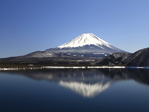 身延町