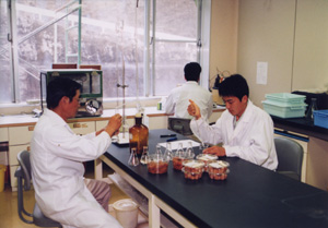 梅ぼし分析研究（うめ21センター）の写真