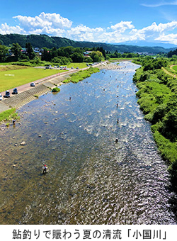 鮎釣りで賑わう夏の清流「小国川」