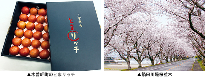 左：木曾岬町のとまリッチ　右：鍋田川堤桜並木