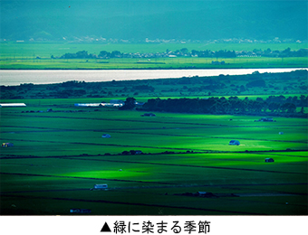 緑に染まる季節