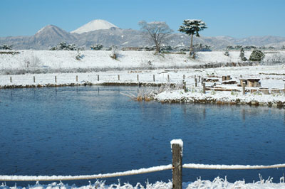 富士とひょうたん池