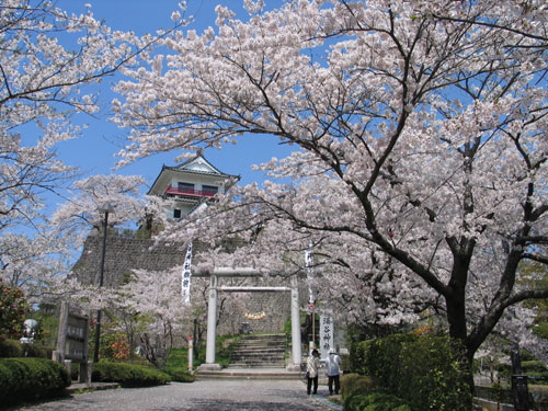 桜の名所、城山公園（涌谷要害跡）の写真