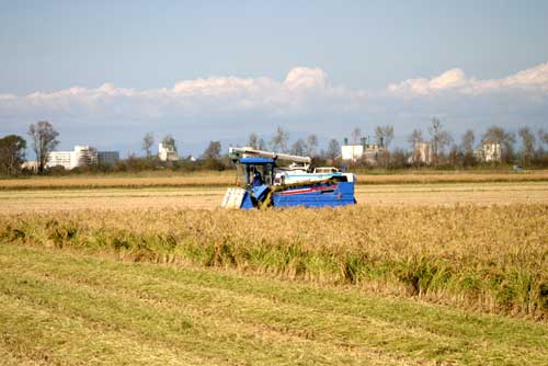 環境保全型農業で安心安全な米づくり