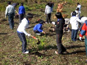 美幌中学校の生徒による森づくり体験