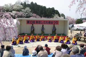 しだれ桜まつりでの「幸田の三河万歳」の様子の写真
