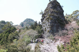 岩屋神社本殿の写真