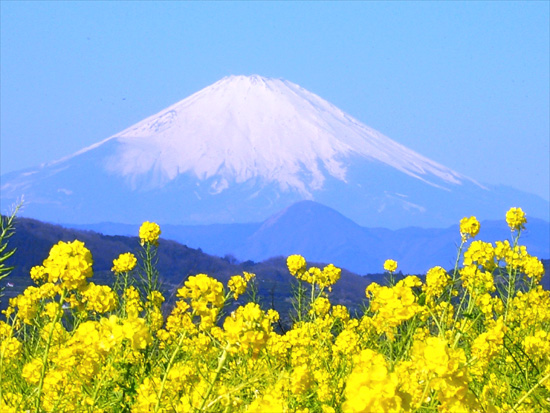 「吾妻山」山頂から見る富士山の写真