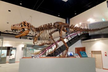 恐竜センターの写真