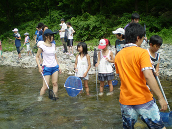 川の探検で水生昆虫を観察する大学生と子どもたちの写真