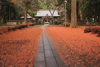 秋色の馬場都々古別神社の様子の写真