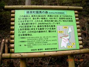 動物も植物も多いモデル林（檮原町） の写真