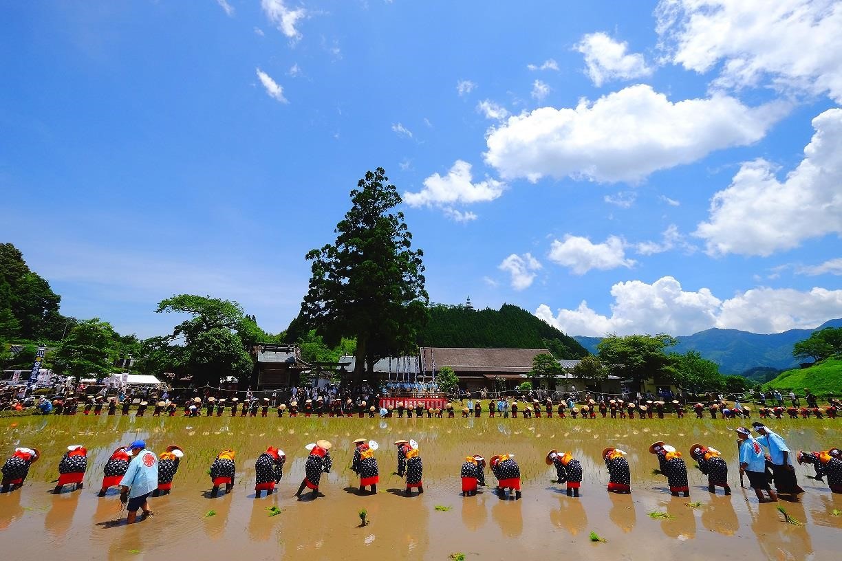 御田祭（おんださい）