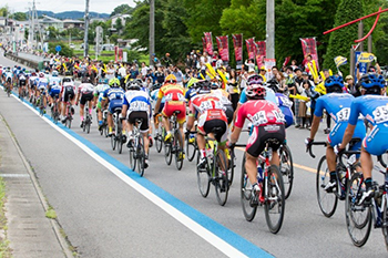 全日本自転車競技選手権大会