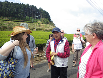 山の中の茶畑でガイドウォーク。質問は多く、日本茶への関心が高い