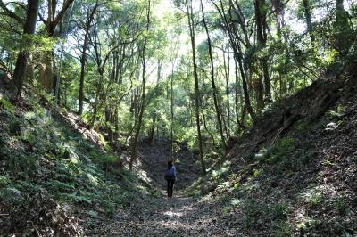 遺構の状態がほぼ原形のまま残る「小幡城跡」