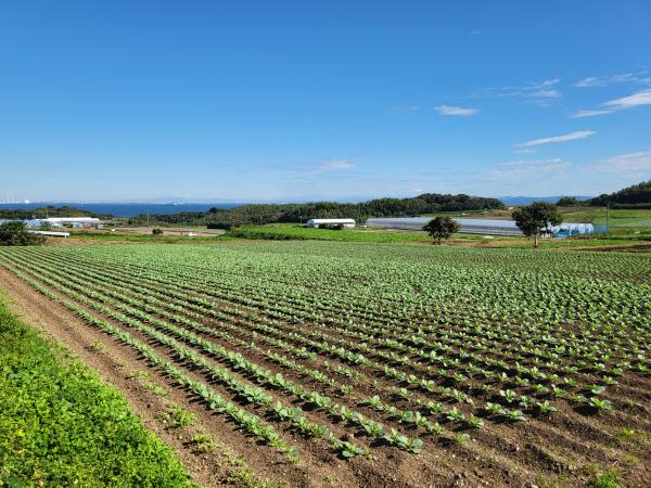 国営農地開発事業整備圃場