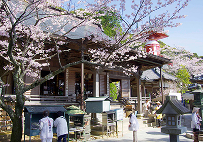 四国八十八箇所霊場二十三番札所薬王寺とお遍路さん