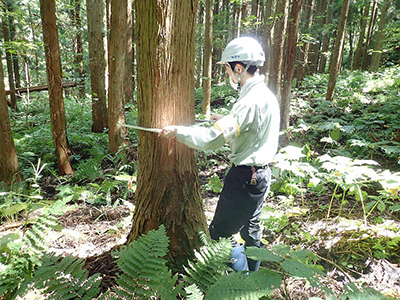 現地確認　公共測量の成果と現況の差異を確認する