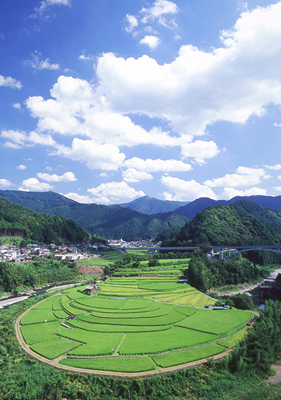 蛇行する有田川に沿った棚田「あらぎ島」