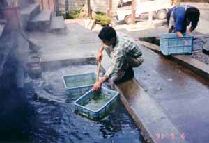 麻釜の写真