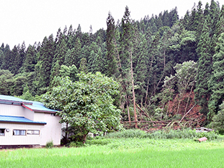 豪雨による土砂災害