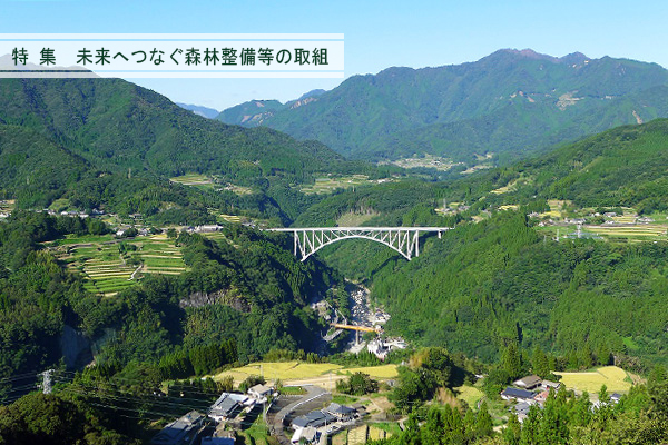 町中心部　国道218号「青雲橋」を眺める
