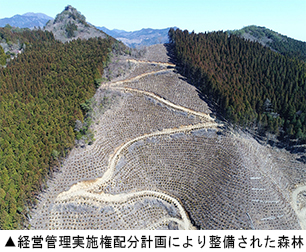 経営管理実施権配分計画により整備された森林
