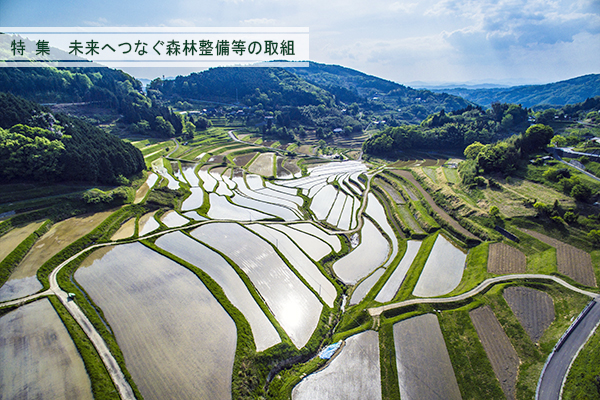 360度すり鉢状に広がる大垪和西の棚田