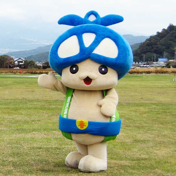 アオキノコちゃん