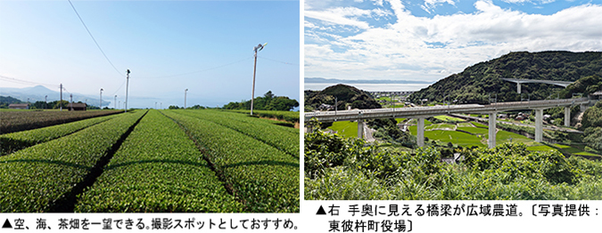 左：空、海、茶畑を一望できる。撮影スポットとしておすすめ　右：右手奥に見える橋梁が広域農道