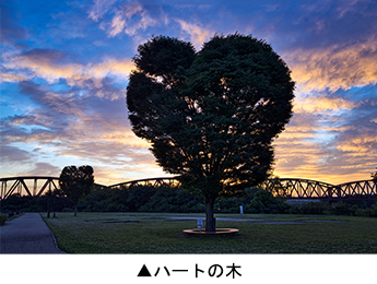 ハートの木