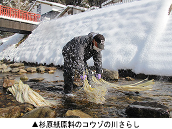 杉原紙原料のコウゾの川さらし