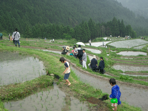 丸山千枚田田植え祭りの写真