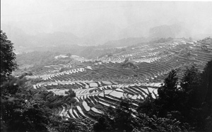 1960年代の千枚田の写真