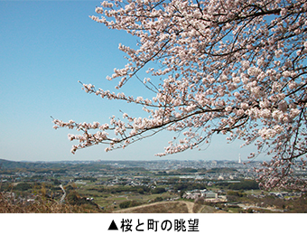 桜と町の眺望