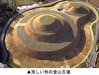 珍しい形の金山古墳