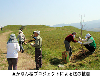 かなん桜プロジェクトによる桜の植樹
