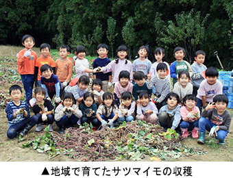 地域で育てたサツマイモの収穫