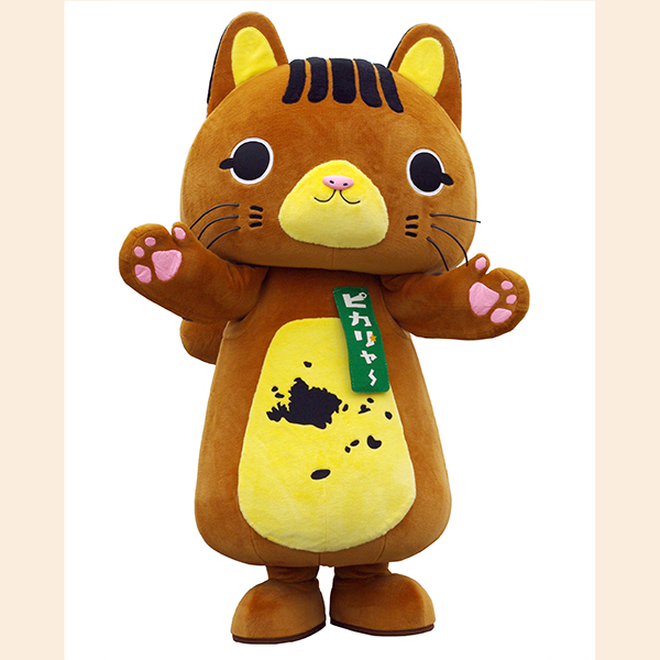 ピカリャ～
