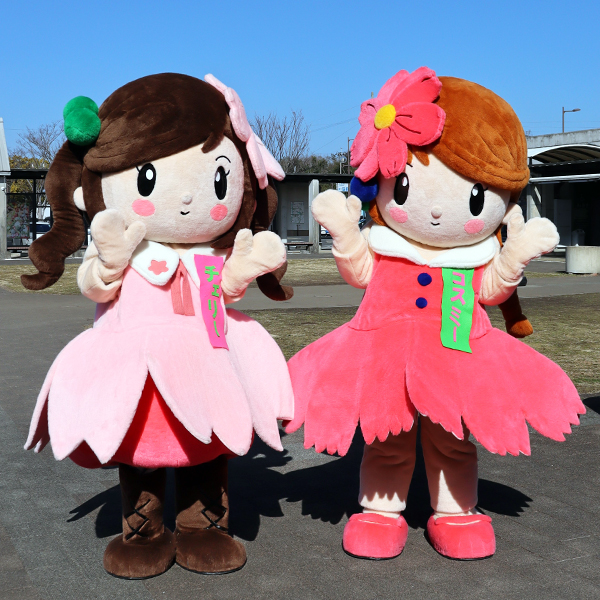 コスミー＆チェリー
