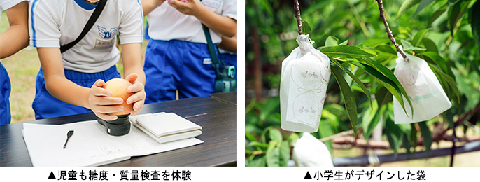 左：児童も糖度・質量検査を体験　右：小学生がデザインした袋