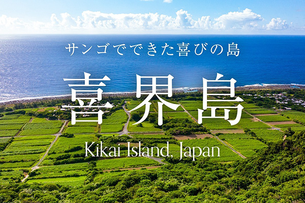 太平洋とサトウキビ畑を眼下に望む