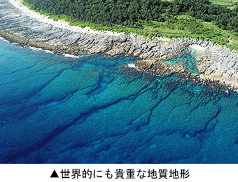 世界的にも貴重な地質地形