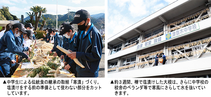 ▲左：中学生による「寒漬」づくり　▲右：大根を中学校校舎のベランダで寒風にさらす