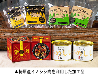 梼原産イノシシ肉を利用した加工品