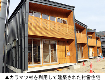 カラマツ材を利用して建築された村営住宅
